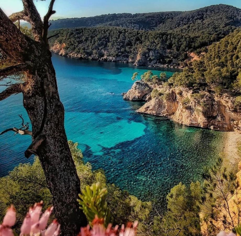 Logement Vue Mer Splendide - Situe A 50 Metres Du Bord De Mer Et 2 Minutes Des Plages - Bandolina Exteriör bild