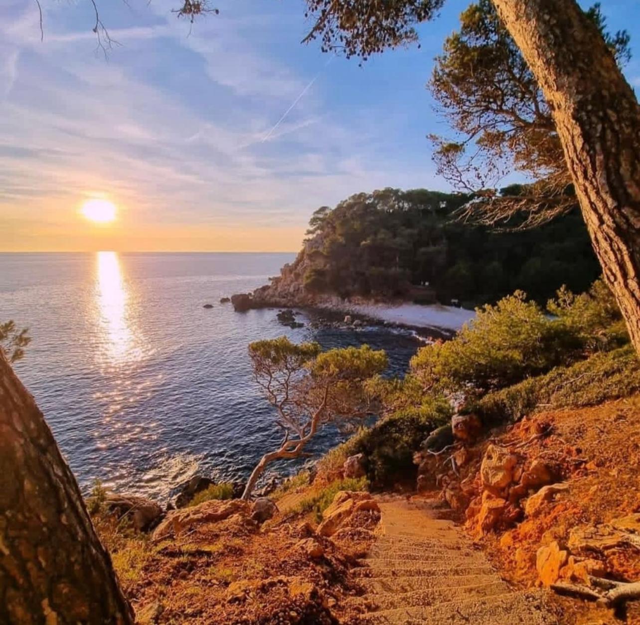 Logement Vue Mer Splendide - Situe A 50 Metres Du Bord De Mer Et 2 Minutes Des Plages - Bandolina Exteriör bild