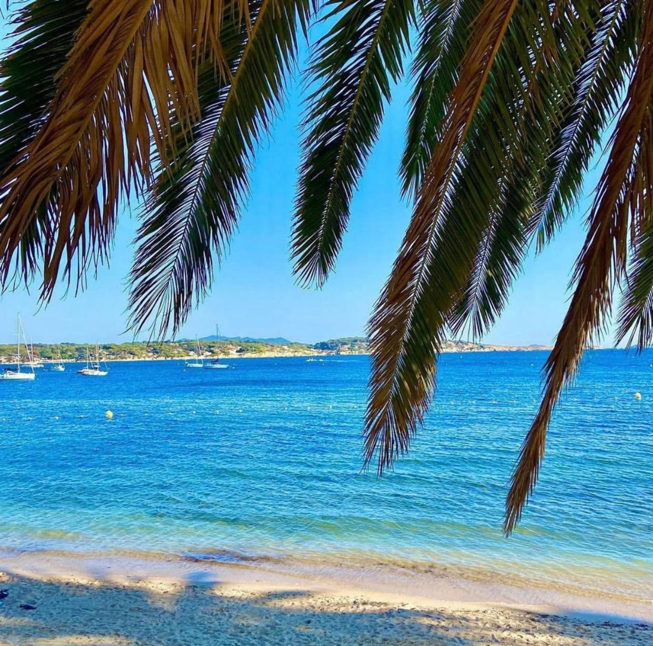 Logement Vue Mer Splendide - Situe A 50 Metres Du Bord De Mer Et 2 Minutes Des Plages - Bandolina Exteriör bild