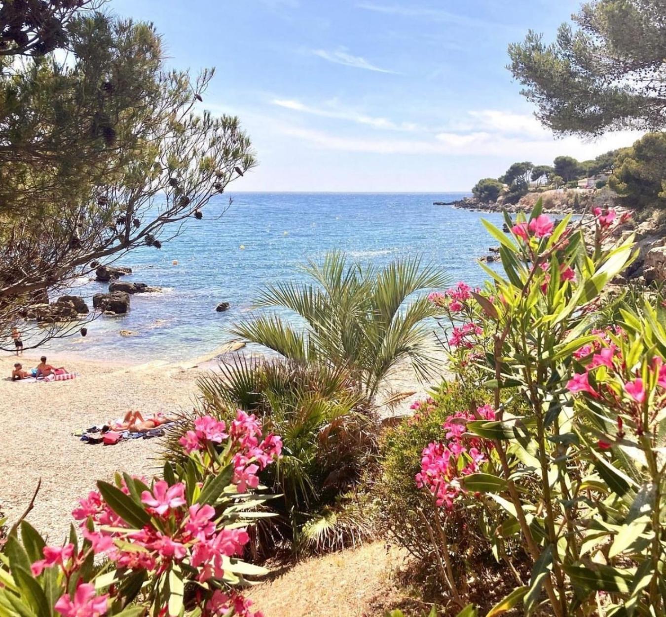 Logement Vue Mer Splendide - Situe A 50 Metres Du Bord De Mer Et 2 Minutes Des Plages - Bandolina Exteriör bild