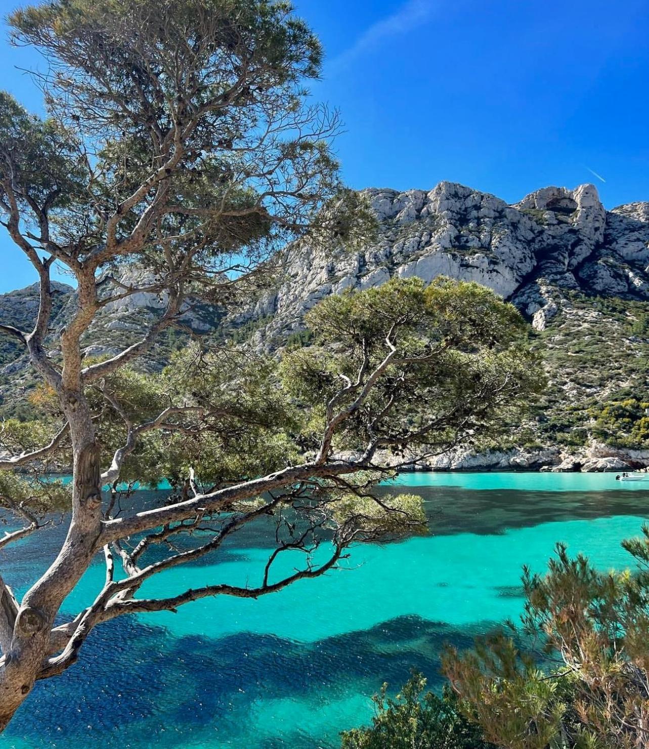 Logement Vue Mer Splendide - Situe A 50 Metres Du Bord De Mer Et 2 Minutes Des Plages - Bandolina Exteriör bild